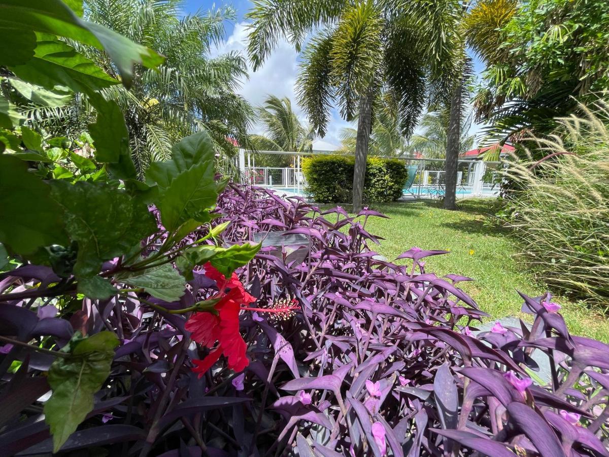 & Le Cocotel Saint-Francois (Grande-Terre)